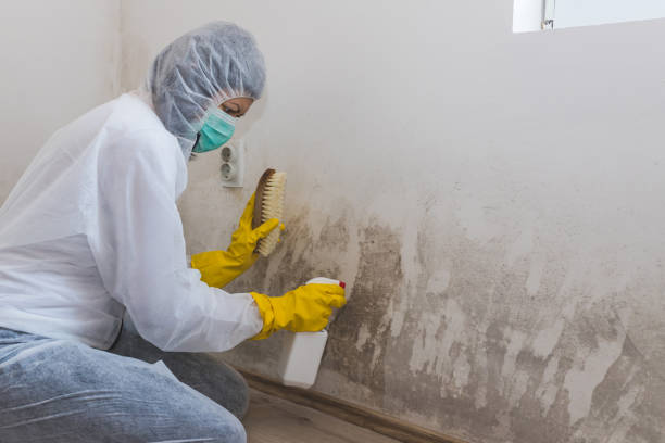 Best Post-Construction Mold Inspection  in Cordry Sweetwater Lakes, IN
