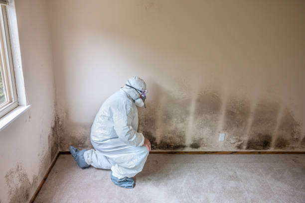 Best Air Quality Testing for Mold Spores  in Cordry Sweetwater Lakes, IN