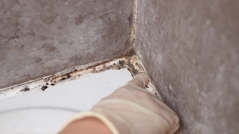 Best Dehumidification Services  in Cordry Sweetwater Lakes, IN